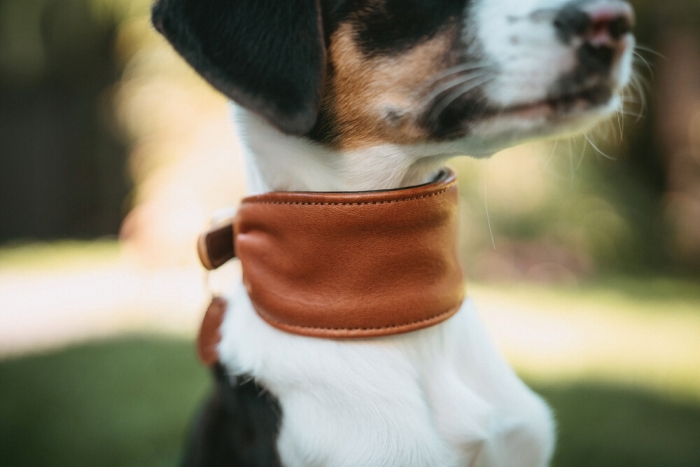Hunter Köpek Boyun Tasması Collar Ergonomic Arvika Taba 45/S - 5