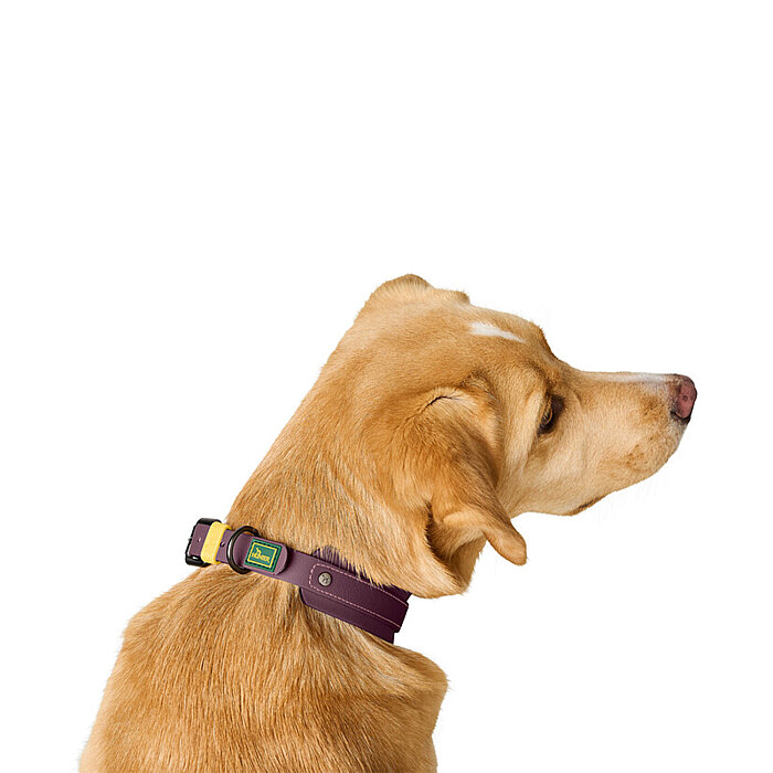 Hunter Köpek Boyun Tasması Havanna Bordo 40/S - 4