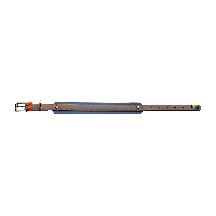 Hunter Köpek Boyun Tasması Havanna Mavi 35/XS-S - 3