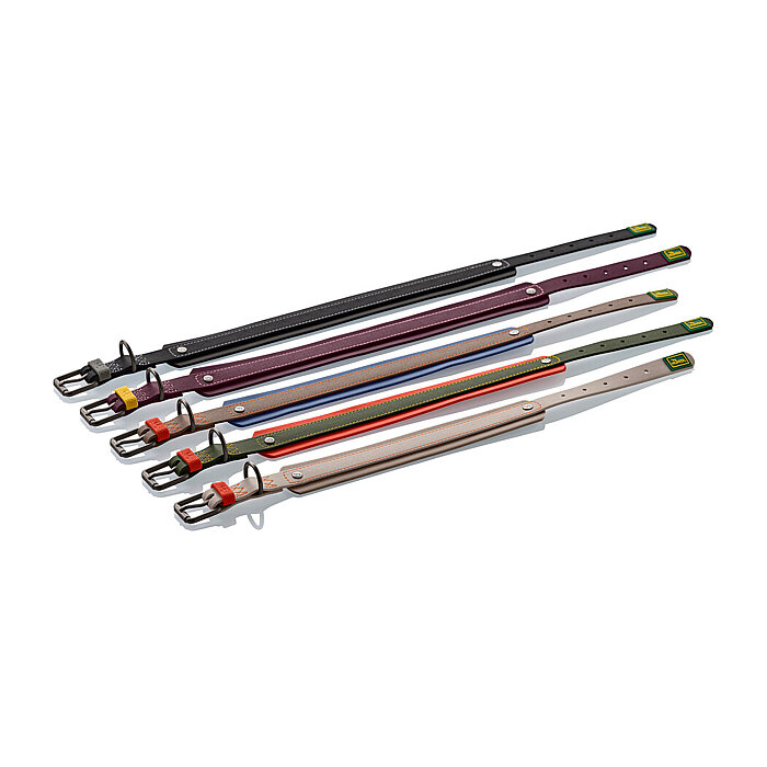 Hunter Köpek Boyun Tasması Havanna Mavi 45/S-M - 6