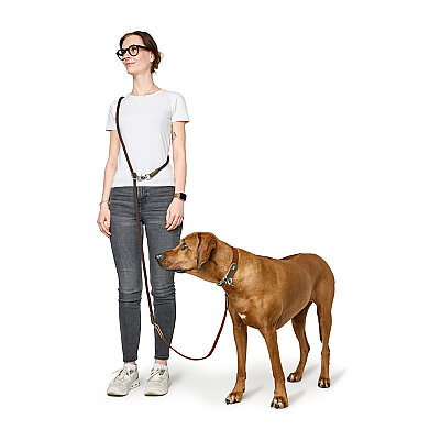 Hunter Köpek Boyun Tasması Lemvig Taba Yeşil 40/S - 5