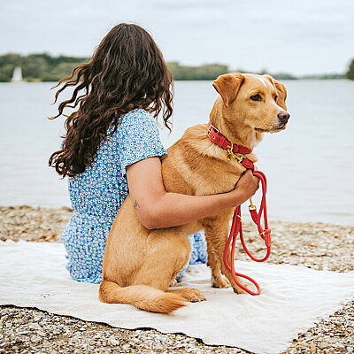 Hunter Köpek Boyun Tasması Malibu Mercan 45/S2 - 5