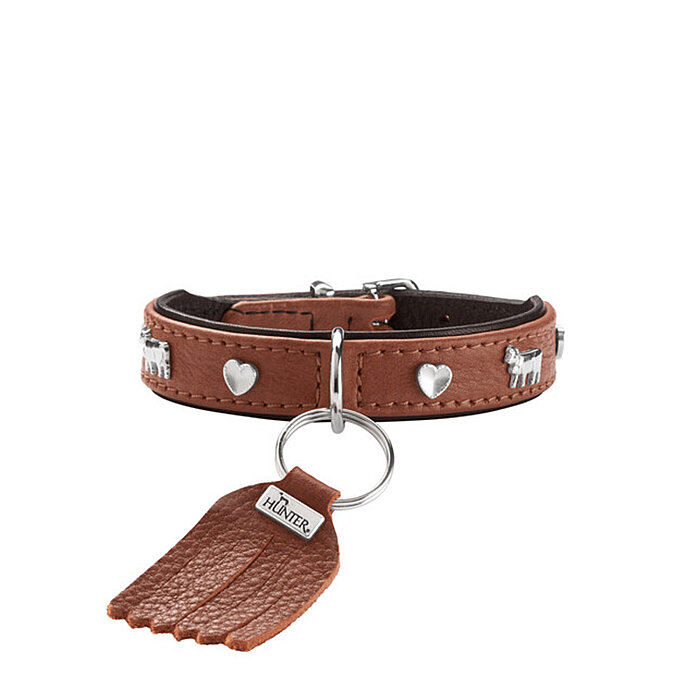Hunter Köpek Boyun Tasması München Taba Siyah 27/XXS-XS - 2