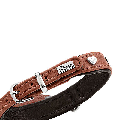 Hunter Köpek Boyun Tasması München Taba Siyah 27/XXS-XS - 3