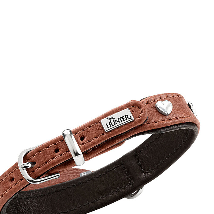 Hunter Köpek Boyun Tasması München Taba Siyah 27/XXS-XS - 3