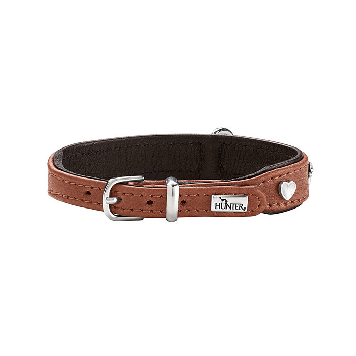 Hunter Köpek Boyun Tasması München Taba Siyah 30/XS - 1