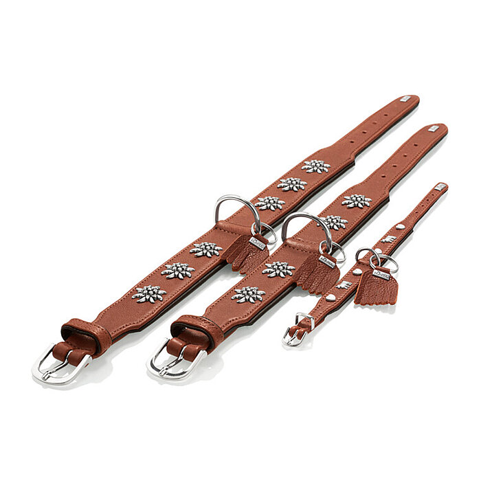 Hunter Köpek Boyun Tasması München Taba Siyah 30/XS - 5