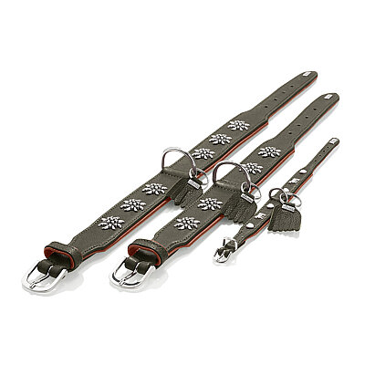 Hunter Köpek Boyun Tasması München Yeşil Taba 30/XS - 3