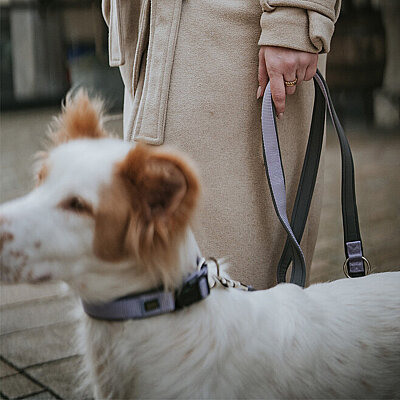 Hunter Köpek Boyun Tasması Neoprene VP Lila 45/M - 4