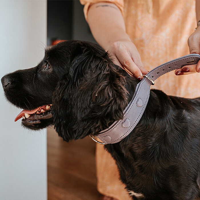 Hunter Köpek Boyun Tasması Soho X Love Gri S - 6