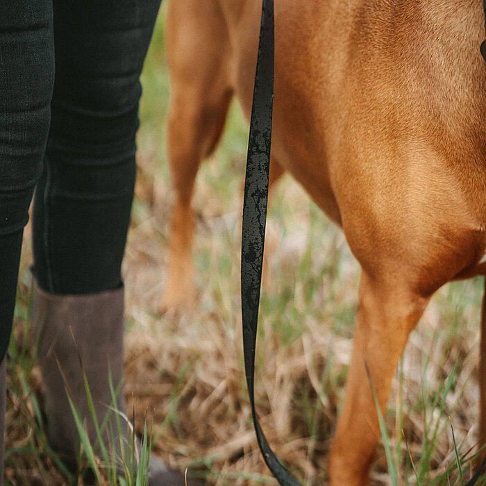 Hunter Köpek Gezdirme Kayışı BioThane® x leather Siyah Gri - 4