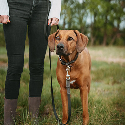 Hunter Köpek Gezdirme Kayışı BioThane® x leather Siyah Gri - 5