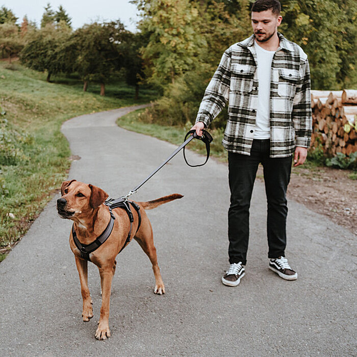 Hunter Köpek Gezdirme Kayışı Maldon Gri Siyah - 5