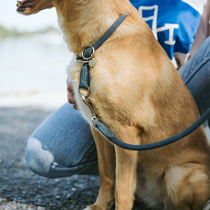 Hunter Köpek Gezdirme Kayışı Malibu Lacivert - 6