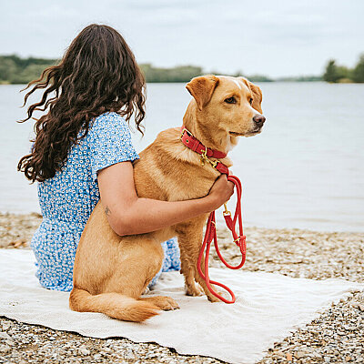 Hunter Köpek Gezdirme Kayışı Malibu Mercan - 6