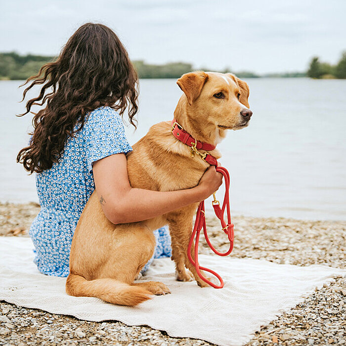 Hunter Köpek Gezdirme Kayışı Malibu Mercan - 6