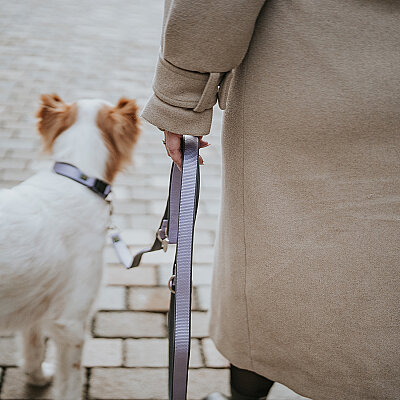 Hunter Köpek Gezdirme Kayışı Neopren Lila - 4