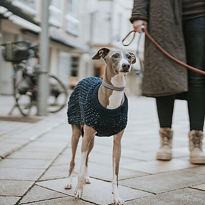Hunter Köpek Gezdirme Kayışı  Soho Round Mini Gri 6/140 - 5