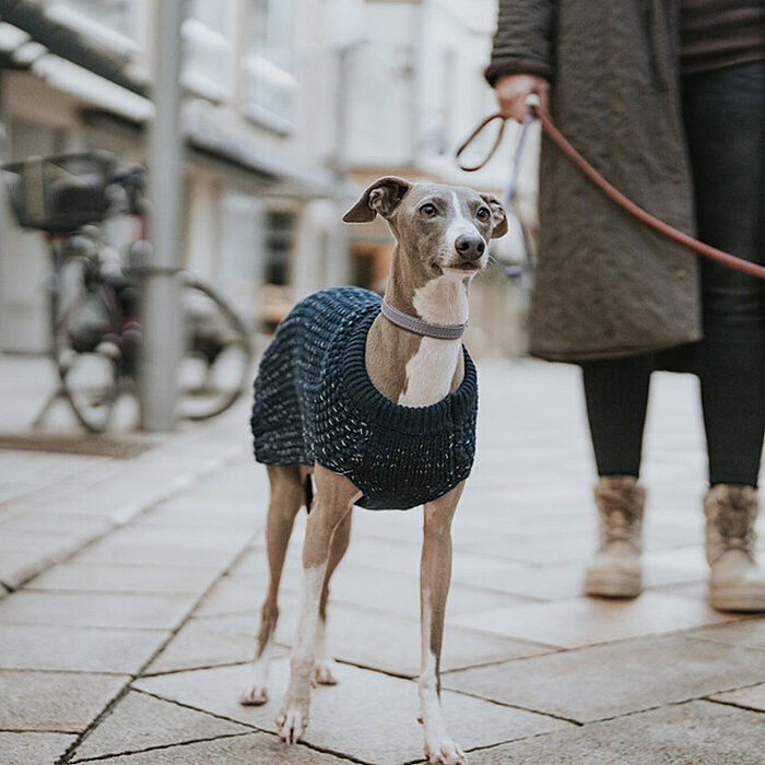 Hunter Köpek Gezdirme Kayışı  Soho Round Mini Gri 6/140 - 5