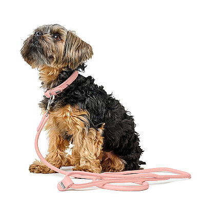 Hunter Köpek Gezdirme Kayışı  Soho Round Mini Pembe 6/140 - 4
