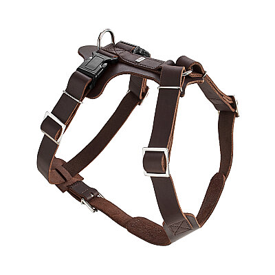 Hunter Köpek Göğüs Tasması Harness Aalborg Kahve 36-50/XS - 1