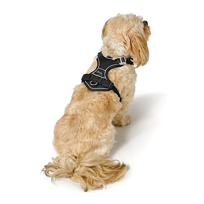 Hunter Köpek Göğüs Tasması Harness Divo Up 52-68/S-M - 6