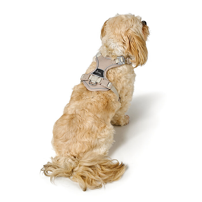 Hunter Köpek Göğüs Tasması Harness Divo Up Krem 52-68/S-M - 5