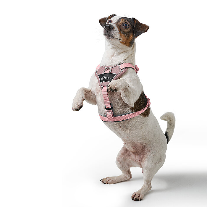 Hunter Köpek Göğüs Tasması Harness Divo Up Pembe 34-47/XS - 6