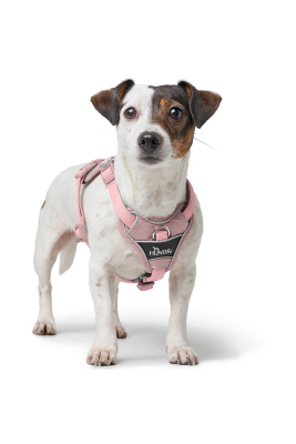 HUNTER - Hunter Köpek Göğüs Tasması Harness Divo Up Pembe 52-68/S-M (1)