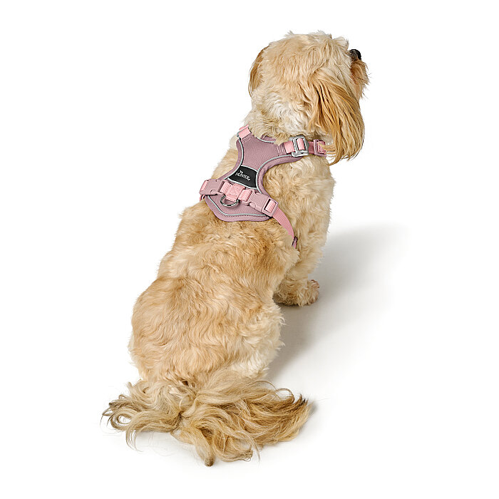 Hunter Köpek Göğüs Tasması Harness Divo Up Pembe 52-68/S-M - 5