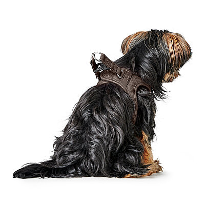 Hunter Köpek Göğüs Tasması Harness Love Kahve 30-34/XXS-XS - 5
