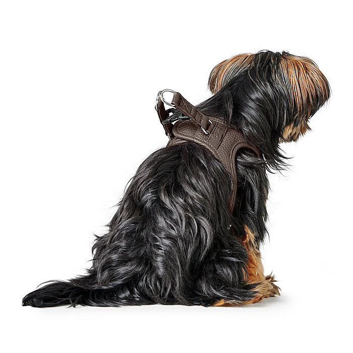 Hunter Köpek Göğüs Tasması Harness Love Kahve 30-34/XXS-XS - 5
