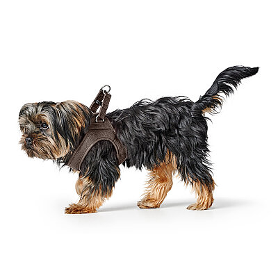Hunter Köpek Göğüs Tasması Harness Love Kahve 43-48/S - 4