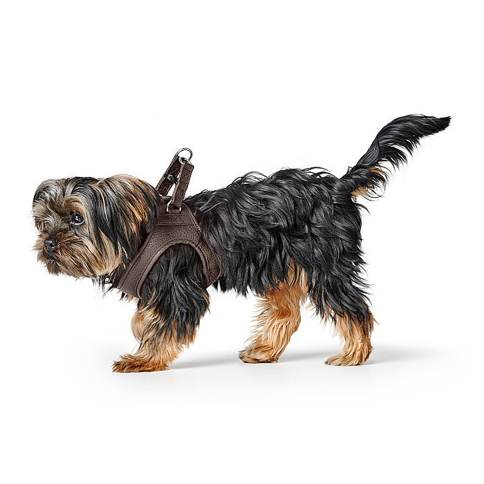 Hunter Köpek Göğüs Tasması Harness Love Kahve 43-48/S - 4