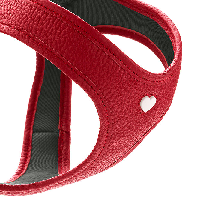 Hunter Köpek Göğüs Tasması Harness Love Kırmızı 30-34/XXS-XS - 3