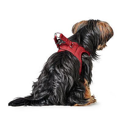 Hunter Köpek Göğüs Tasması Harness Love Kırmızı 43-48/S - 4