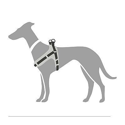 Hunter Köpek Göğüs Tasması Harness Neoprene VQ Kahve Karamel 55-70/M - 2