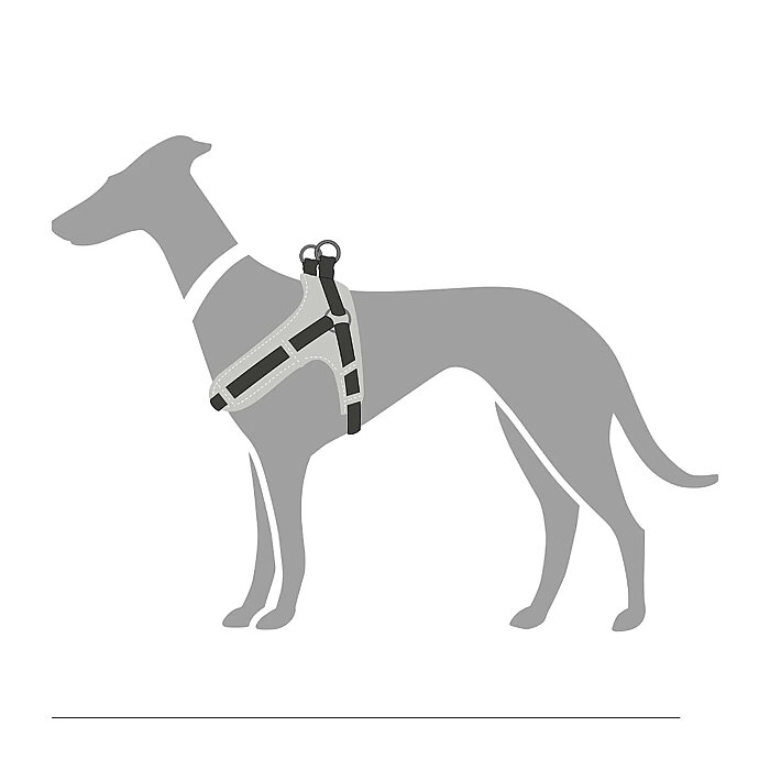 Hunter Köpek Göğüs Tasması Harness Neoprene VQ Kahve Karamel 55-70/M - 2
