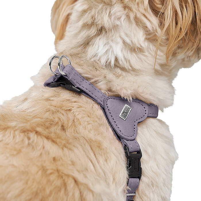 Hunter Köpek Göğüs Tasması Harness Soho Mini Gri 26-31/XXS-XS - 5