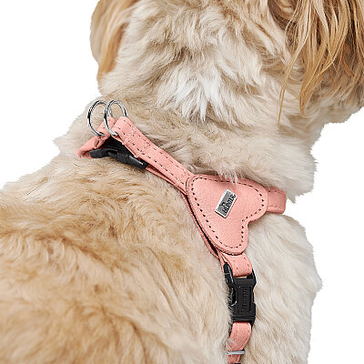 Hunter Köpek Göğüs Tasması Harness Soho Mini Pembe 33-44/XS-S - 5