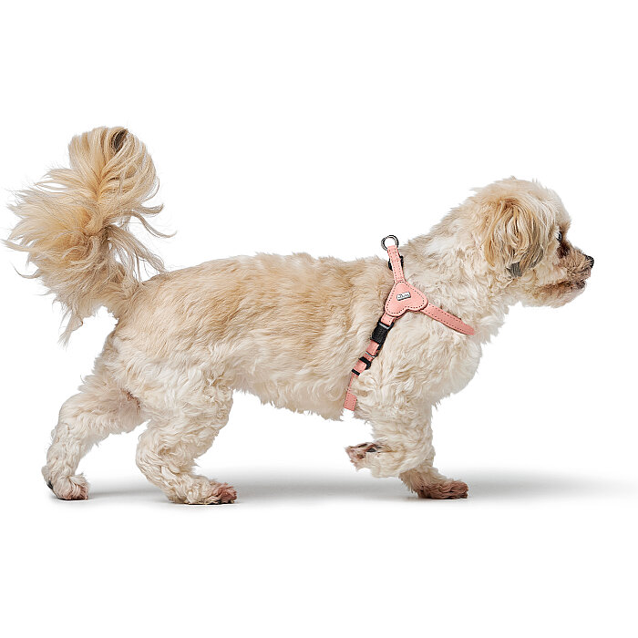 Hunter Köpek Göğüs Tasması Harness Soho Mini Pembe 33-44/XS-S - 6