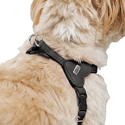 Hunter Köpek Göğüs Tasması Harness Soho Mini Siyah 28-34/XXS-XS - 5