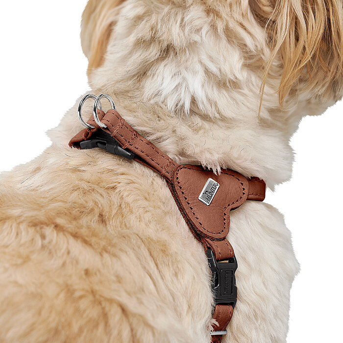 Hunter Köpek Göğüs Tasması Harness Soho Mini Taba 33-44/XS-S - 5