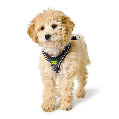 Hunter Köpek Göğüs Tasması Hilo Comfort Gri Siyah S - 4