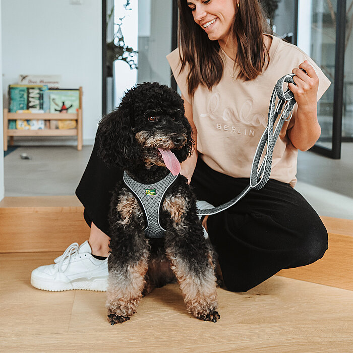 Hunter Köpek Göğüs Tasması Hilo Comfort Gri Siyah S - 6