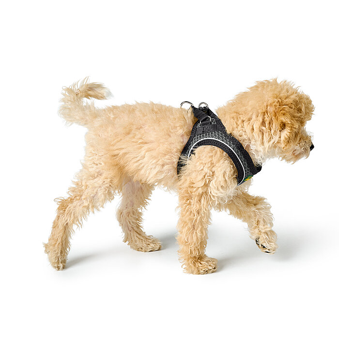 Hunter Köpek Göğüs Tasması Hilo Comfort Gri Siyah S-M - 5
