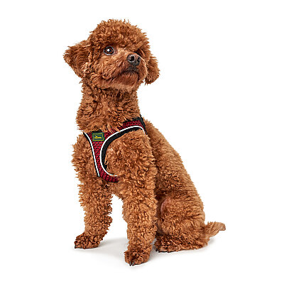 Hunter Köpek Göğüs Tasması Hilo Comfort Kırmızı Siyah S - 4