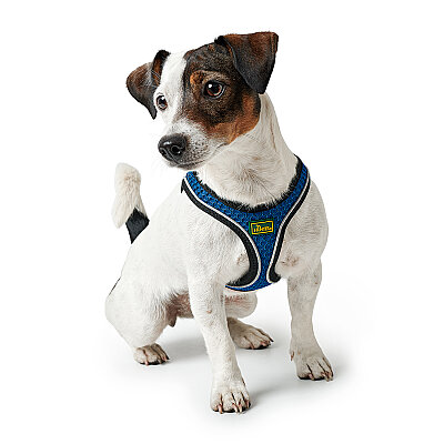 Hunter Köpek Göğüs Tasması Hilo Comfort Mavi Siyah XXS-XS - 4
