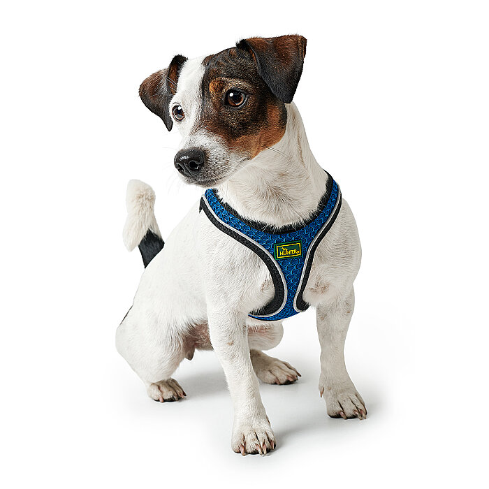 Hunter Köpek Göğüs Tasması Hilo Comfort Mavi Siyah XXS-XS - 4