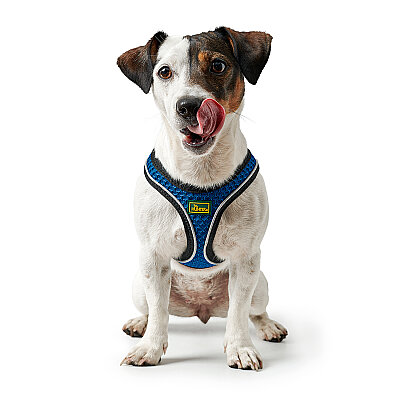 Hunter Köpek Göğüs Tasması Hilo Comfort Mavi Siyah XXS-XS - 5